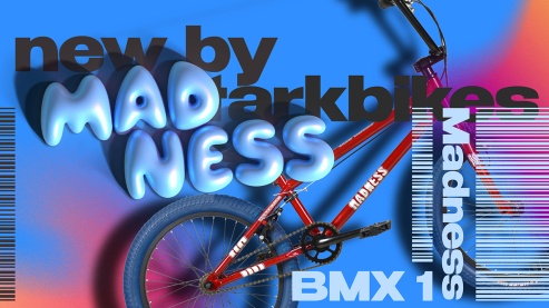 Мини-обзор Stark Madness BMX 1